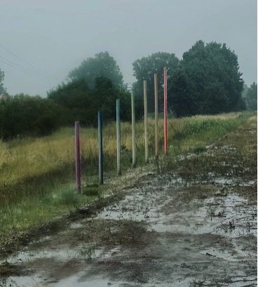 pic6.361065e+14